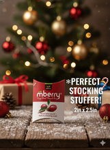 Load image into Gallery viewer, Freeze Dried Stocking Stuffers - 5 Berries